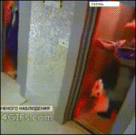 Man-saves-dog-elevator