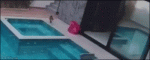 Cat-panics-in-pool