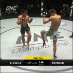 MMA-kick-duck-high-five