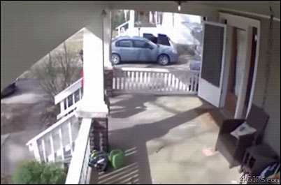 Guard-dog-attacks-delivery-guy