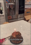 Dog-eats-birthday-cake-candle