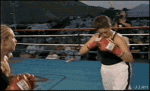 Female_boxer_punched
