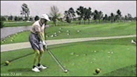 Golf_ball_bird