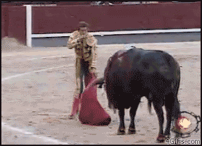 Bull_gores_matador.gif