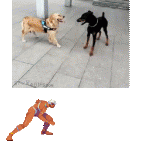 Dog-fights-capoeira-style