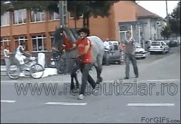 A guy harassing a horse from behind gets kicked by it