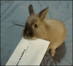 Rabbit-letter-opener