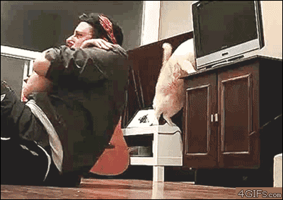 A cat knocks over a TV onto a guy doing sit-ups
