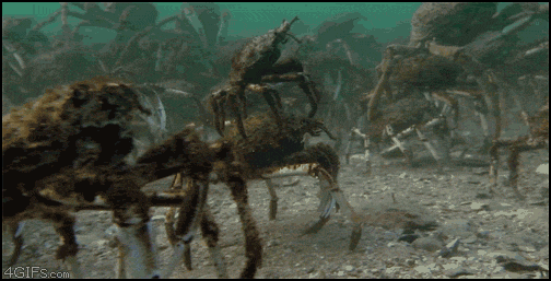 Crabs riding crabs
