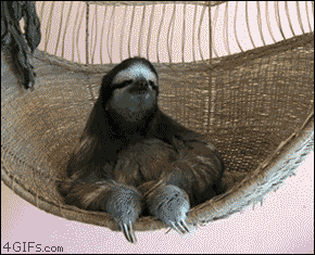 Sloth-hammock-deal-with-it.gif