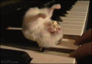 An upside-down hamster resting on a piano key enjoys eating his popcorn