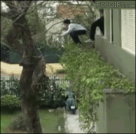 A guy tries to jump from a ledge to a tree and falls to the ground
