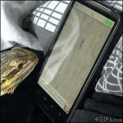 [Image: Lizard-eats-digital-ants.gif]