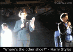 Harry-Styles-hit-by-shoe