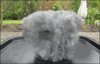 Steel wool reacts to a 9V battery causing sparks and fire