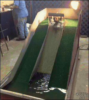 Ducks have fun taking turns on a homemade water slide