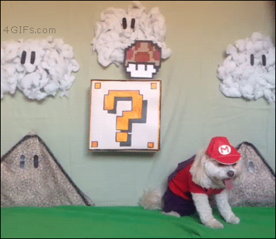 Little Mario dog powers up to a big dog after eating a mushroom