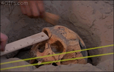 After carefully unearthing a skull fossil someone carelessly breaks it with a pick