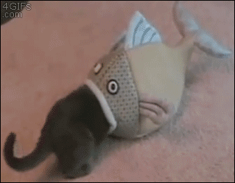 A toy fish swallows a cat whole