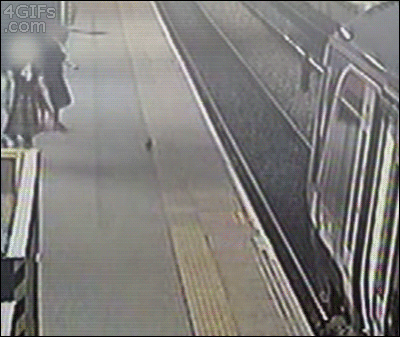 Instant karma when a guy tries to kick a pigeon and falls instead