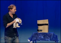 Magician places a rabbit in a box then smashes the box with a bat