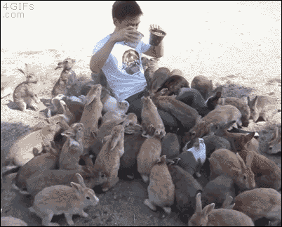 A man feeding rabbits is completely covered by them