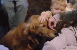 A kid takes a treat off a dog's nose and eats it without him knowing