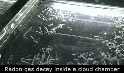 Radon gas decay inside a cloud chamber