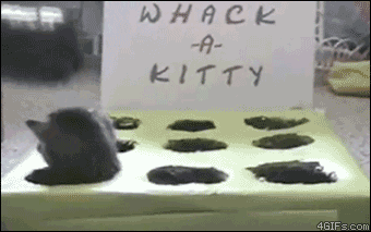 Kittens are used in a game of whack-a-mole