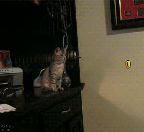 Mario jumps on a jumping cat