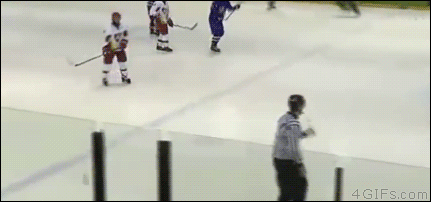A hockey player throws his stick in anger and it hits a referee