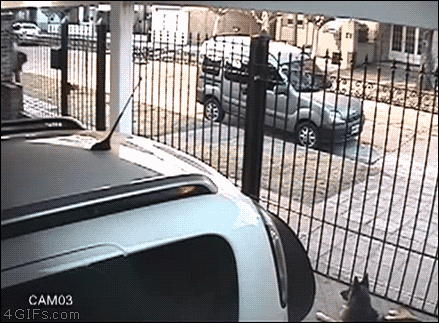 A woman foils a robbery attempt by throwing her bags over a gate