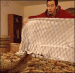 Sheet-magic-trick-confused-cat