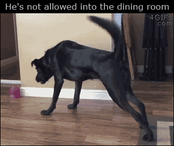 He's not allowed into the dining room