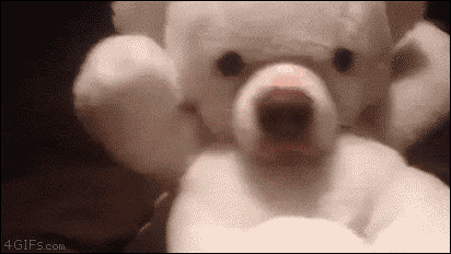 A dog wears a teddy bear costume with creepy results