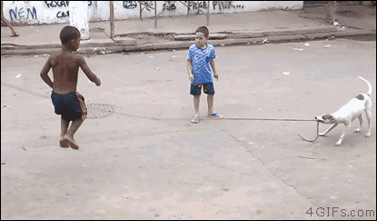 A dog swings a jump rope