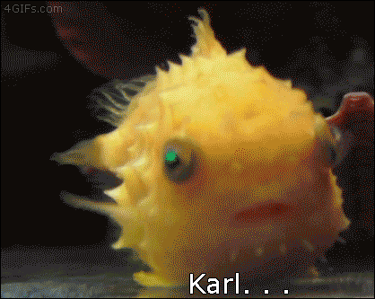 Karl reacts to being informed he's a fish