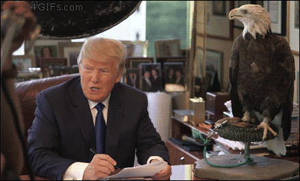 Eagle-hates-Donald-Trump