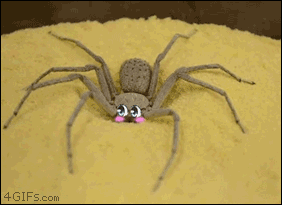 An embarrassed spider buries itself