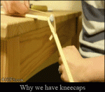 Why-we-have-kneecaps-demonstration