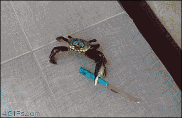 A tough crab wields a knife