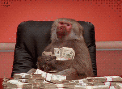 A baboon shows off how rich he is