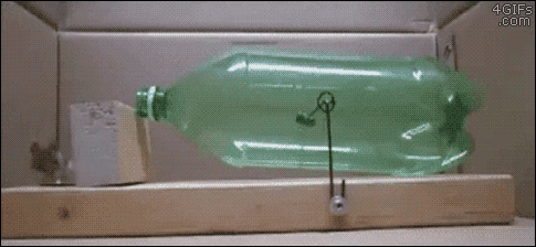 Humane-mouse-trap-bottle
