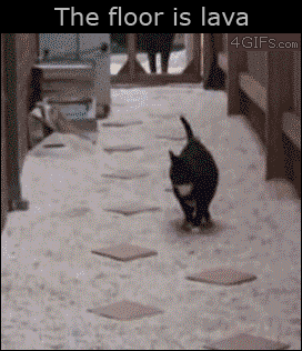 Cat-playing-the-floor-is-lava.gif