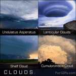 Storm-clouds