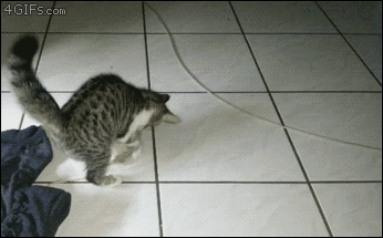 A cat gets startled when it is caught playing with a toy rat