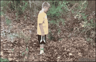 A dog jumps into a pile of leaves to try to save a boy