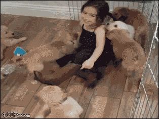 A girl is smothered to death by a group of puppies