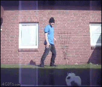 A cat attacks a breakdancer