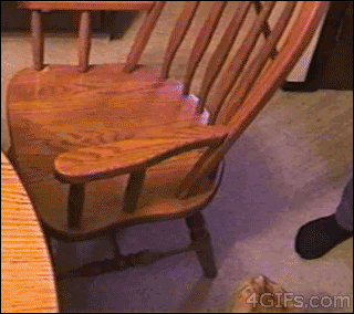 Cat with style jumps onto the arm of a chair and flips onto the seat